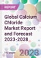 Global Calcium Chloride Market Report and Forecast 2023-2028 - Product Thumbnail Image