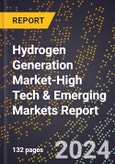 2024 Global Forecast for Hydrogen Generation Market (2025-2030 Outlook)-High Tech & Emerging Markets Report- Product Image