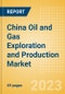 China Oil and Gas Exploration and Production Market Volumes and Forecast by Terrain, Assets and Major Companies, 2023-2025 - Product Thumbnail Image