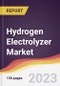 Hydrogen Electrolyzer Market Report: Trends, Forecast and Competitive Analysis 2023-2028 - Product Thumbnail Image