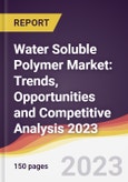 Water Soluble Polymer Market: Trends, Opportunities and Competitive Analysis 2023-2028- Product Image