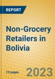 Non-Grocery Retailers in Bolivia- Product Image