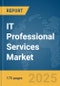 IT Professional Services Market Report 2025 - Product Thumbnail Image