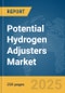 Potential Hydrogen (PH) Adjusters Market Report 2025 - Product Thumbnail Image