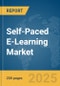 Self-Paced E-Learning Market Report 2025 - Product Thumbnail Image