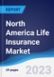 North America Life Insurance Market Summary, Competitive Analysis and Forecast to 2027 - Product Thumbnail Image