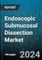 Endoscopic Submucosal Dissection Market by Product, Indication, End User - Global Forecast 2025-2030 - Product Image