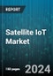 Satellite IoT Market by Service Type (Direct-to-Satellite, Satellite IoT Backhaul), Frequency Band (Ka-Band, L-Band, S-Band), Orbit, Organization Size, Application - Global Forecast 2025-2030 - Product Thumbnail Image