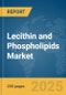 Lecithin and Phospholipids Market Report 2025 - Product Image