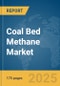 Coal Bed Methane (CBM) Market Report 2025 - Product Image