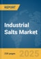 Industrial Salts Market Report 2025 - Product Thumbnail Image