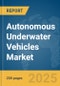 Autonomous Underwater Vehicles Market Report 2025 - Product Image