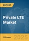 Private LTE Market Report 2025 - Product Thumbnail Image