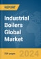 Industrial Boilers Global Market Report 2024 - Product Thumbnail Image