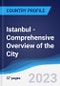 Istanbul - Comprehensive Overview of the City, PEST Analysis and Key Industries Including Technology, Tourism and Hospitality, Construction and Retail - Product Thumbnail Image