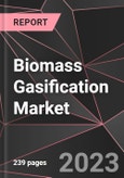 Biomass Gasification Market Report - Market Analysis, Size, Share, Growth, Outlook - Industry Trends and Forecast to 2028- Product Image