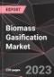 Biomass Gasification Market Report - Market Analysis, Size, Share, Growth, Outlook - Industry Trends and Forecast to 2028 - Product Thumbnail Image