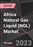 Africa Natural Gas Liquid (NGL) Market Report - Market Analysis, Size, Share, Growth, Outlook - Industry Trends and Forecast to 2028- Product Image