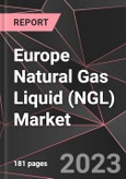 Europe Natural Gas Liquid (NGL) Market Report - Market Analysis, Size, Share, Growth, Outlook - Industry Trends and Forecast to 2028- Product Image