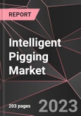 Intelligent Pigging Market Report - Market Analysis, Size, Share, Growth, Outlook - Industry Trends and Forecast to 2028- Product Image