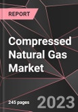 Compressed Natural Gas Market Report - Market Analysis, Size, Share, Growth, Outlook - Industry Trends and Forecast to 2028- Product Image