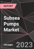 Subsea Pumps Market Report - Market Analysis, Size, Share, Growth, Outlook - Industry Trends and Forecast to 2028- Product Image