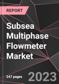 Subsea Multiphase Flowmeter Market Report - Market Analysis, Size, Share, Growth, Outlook - Industry Trends and Forecast to 2028- Product Image