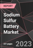 Sodium Sulfur Battery Market Report - Market Analysis, Size, Share, Growth, Outlook - Industry Trends and Forecast to 2028- Product Image