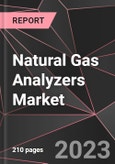 Natural Gas Analyzers Market Report - Market Analysis, Size, Share, Growth, Outlook - Industry Trends and Forecast to 2028- Product Image