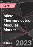 Micro Thermoelectric Modules Market Report - Market Analysis, Size, Share, Growth, Outlook - Industry Trends and Forecast to 2028- Product Image