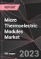 Micro Thermoelectric Modules Market Report - Market Analysis, Size, Share, Growth, Outlook - Industry Trends and Forecast to 2028 - Product Thumbnail Image