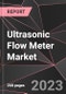 Ultrasonic Flow Meter Market Report - Market Analysis, Size, Share, Growth, Outlook - Industry Trends and Forecast to 2028 - Product Thumbnail Image