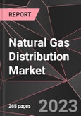 Natural Gas Distribution Market Report - Market Analysis, Size, Share, Growth, Outlook - Industry Trends and Forecast to 2028- Product Image