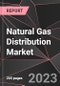 Natural Gas Distribution Market Report - Market Analysis, Size, Share, Growth, Outlook - Industry Trends and Forecast to 2028 - Product Thumbnail Image