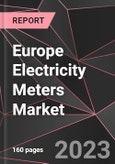 Europe Electricity Meters Market Report - Market Analysis, Size, Share, Growth, Outlook - Industry Trends and Forecast to 2028- Product Image