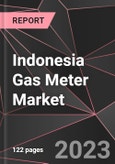 Indonesia Gas Meter Market Report - Market Analysis, Size, Share, Growth, Outlook - Industry Trends and Forecast to 2028- Product Image