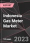 Indonesia Gas Meter Market Report - Market Analysis, Size, Share, Growth, Outlook - Industry Trends and Forecast to 2028 - Product Thumbnail Image