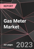 Gas Meter Market Report - Market Analysis, Size, Share, Growth, Outlook - Industry Trends and Forecast to 2028- Product Image