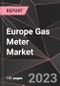 Europe Gas Meter Market Report - Market Analysis, Size, Share, Growth, Outlook - Industry Trends and Forecast to 2028 - Product Thumbnail Image