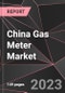 China Gas Meter Market Report - Market Analysis, Size, Share, Growth, Outlook - Industry Trends and Forecast to 2028 - Product Thumbnail Image