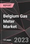 Belgium Gas Meter Market Report - Market Analysis, Size, Share, Growth, Outlook - Industry Trends and Forecast to 2028 - Product Thumbnail Image