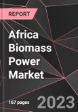 Africa Biomass Power Market Report - Market Analysis, Size, Share, Growth, Outlook - Industry Trends and Forecast to 2028- Product Image