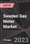 Sweden Gas Meter Market Report - Market Analysis, Size, Share, Growth, Outlook - Industry Trends and Forecast to 2028 - Product Thumbnail Image