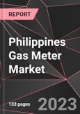 Philippines Gas Meter Market Report - Market Analysis, Size, Share, Growth, Outlook - Industry Trends and Forecast to 2028- Product Image