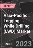 Asia-Pacific Logging While Drilling (LWD) Market Report - Market Analysis, Size, Share, Growth, Outlook - Industry Trends and Forecast to 2028- Product Image
