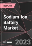 Sodium-ion Battery Market Report - Market Analysis, Size, Share, Growth, Outlook - Industry Trends and Forecast to 2028- Product Image