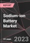 Sodium-ion Battery Market Report - Market Analysis, Size, Share, Growth, Outlook - Industry Trends and Forecast to 2028 - Product Thumbnail Image