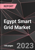 Egypt Smart Grid Market Report - Market Analysis, Size, Share, Growth, Outlook - Industry Trends and Forecast to 2028- Product Image