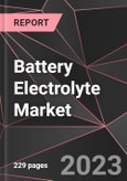 Battery Electrolyte Market Report - Market Analysis, Size, Share, Growth, Outlook - Industry Trends and Forecast to 2028- Product Image