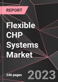 Flexible CHP Systems Market Report - Market Analysis, Size, Share, Growth, Outlook - Industry Trends and Forecast to 2028- Product Image